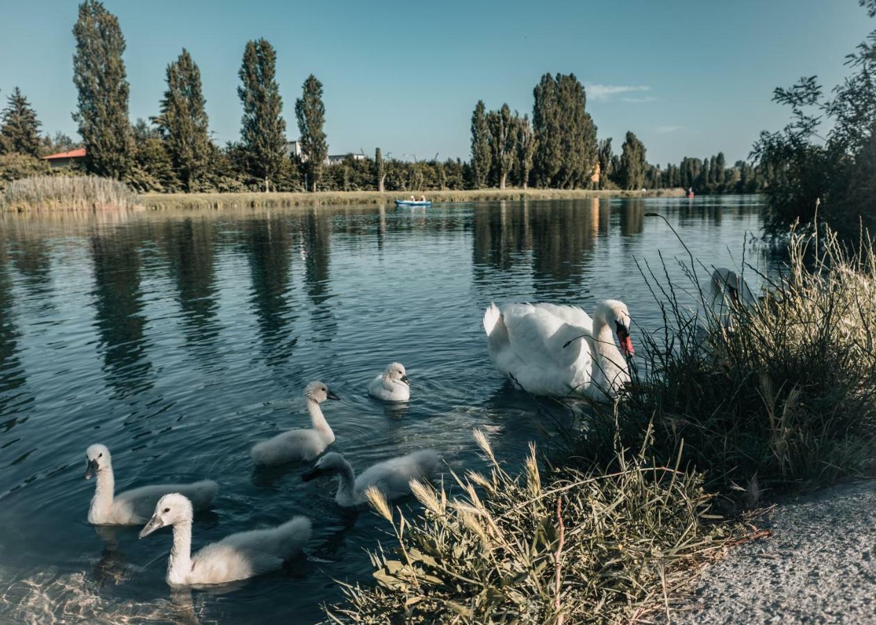 La Forgia Apartment Peschiera del Garda Luaran gambar